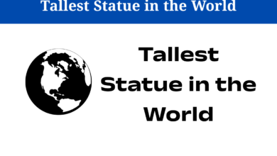 Tallest Statue in the World
