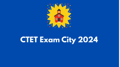 CTET Exam City 2024