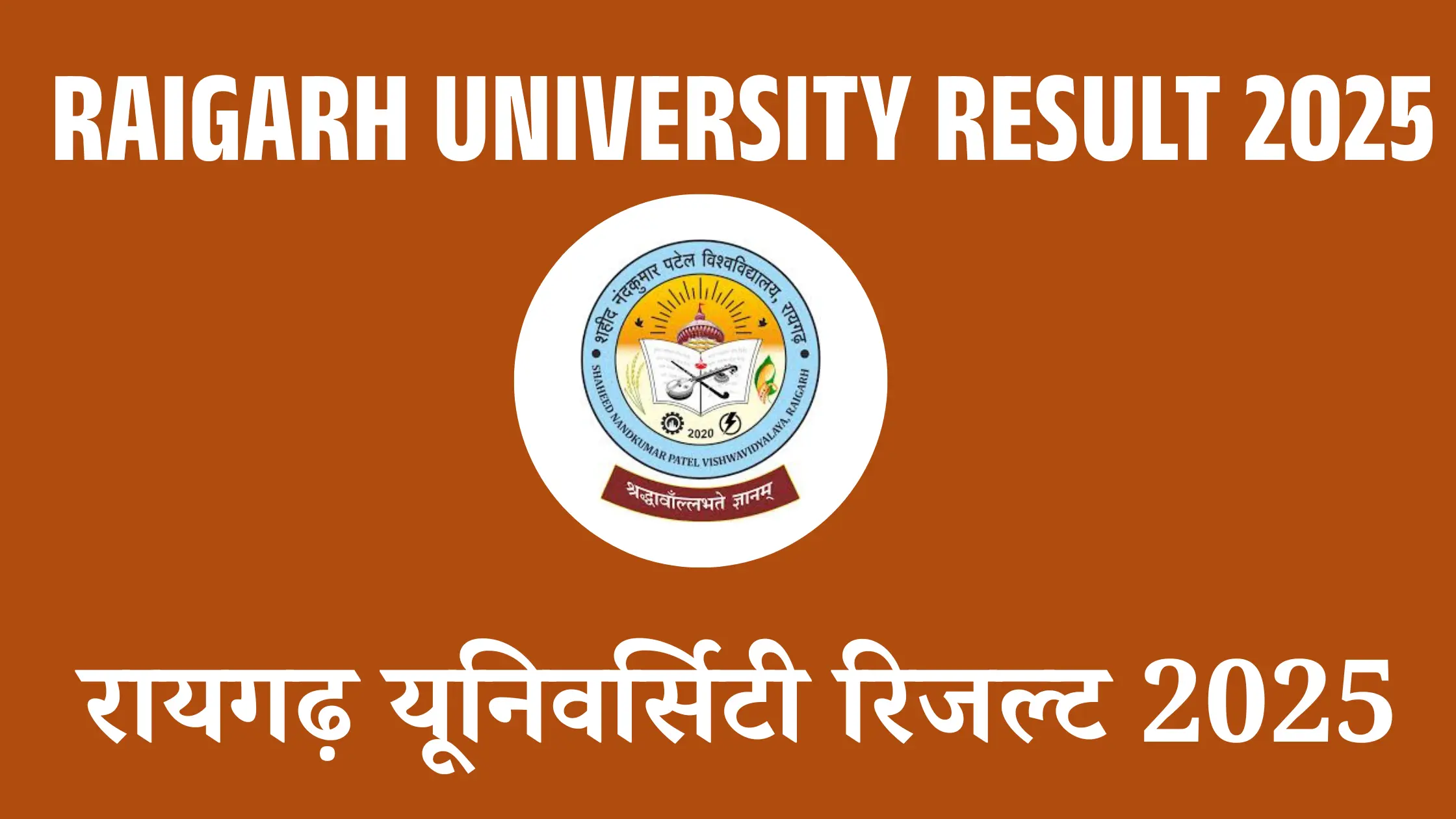 Raigarh University Result 2025
